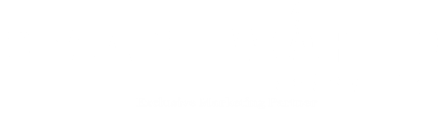 logo1